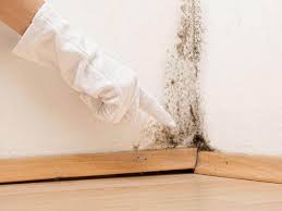 Best Mold Prevention Services  in Newell, WV